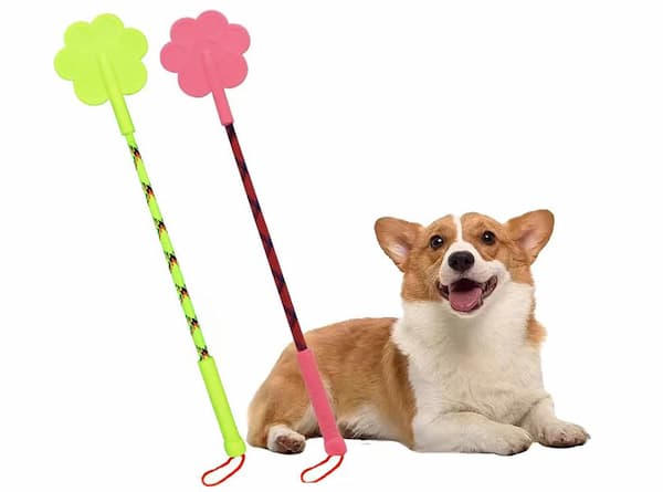 dog smiling with dog training sticks